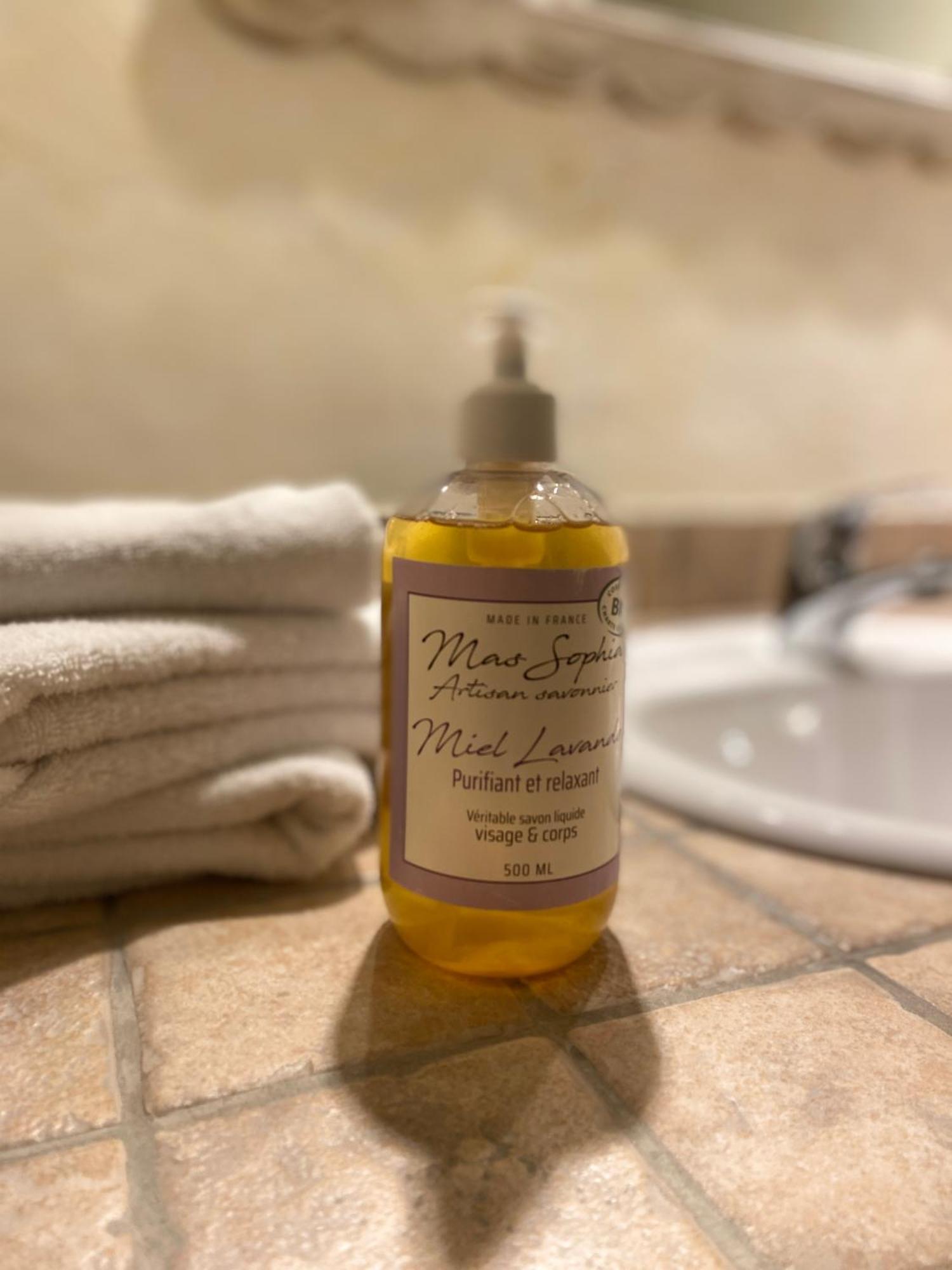 Logis Hotel Medieval, Montelimar Nord 罗什莫尔 外观 照片